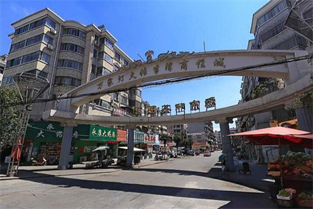 和美苑3室2厅1卫110㎡车库30